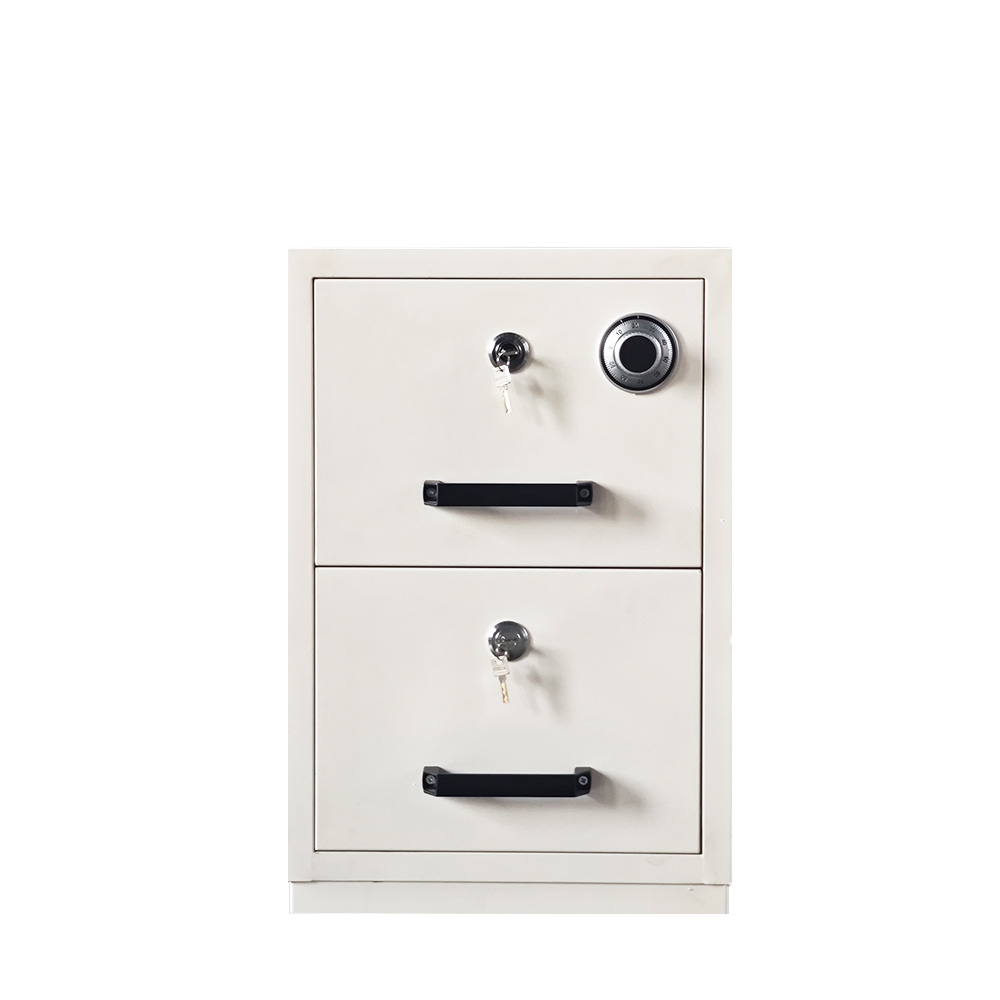 2 Drawer Vertical Office File  - đánh giá và giá File Cabinet Drawer